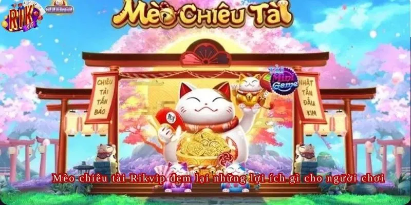 Tập trung tối đa giúp mang lại chiến thắng tại mèo chiêu tài Rikvip