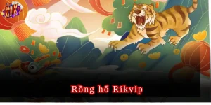 rồng hổ rikvip