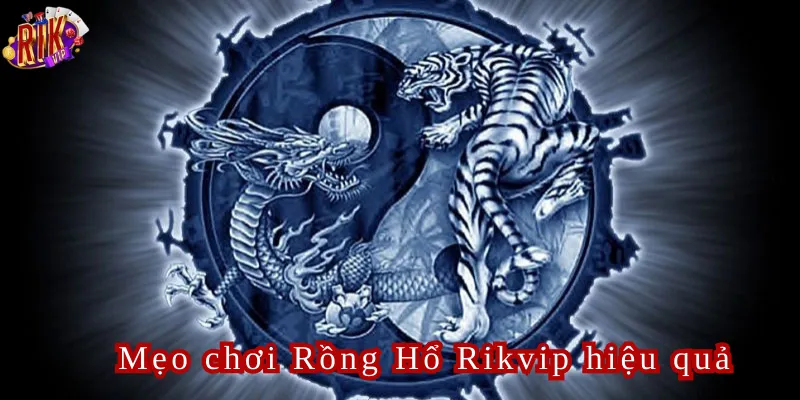 Mẹo chơi Rồng Hổ Rikvip hiệu quả