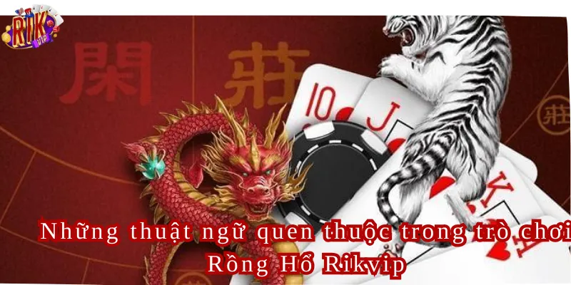Những thuật ngữ quen thuộc trong trò chơi Rồng Hổ Rikvip